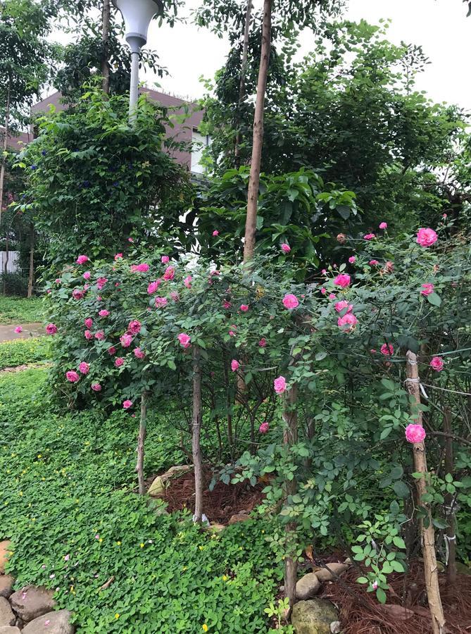 Flamingo Dailai - Hq Villa Ngoc Quang Екстериор снимка