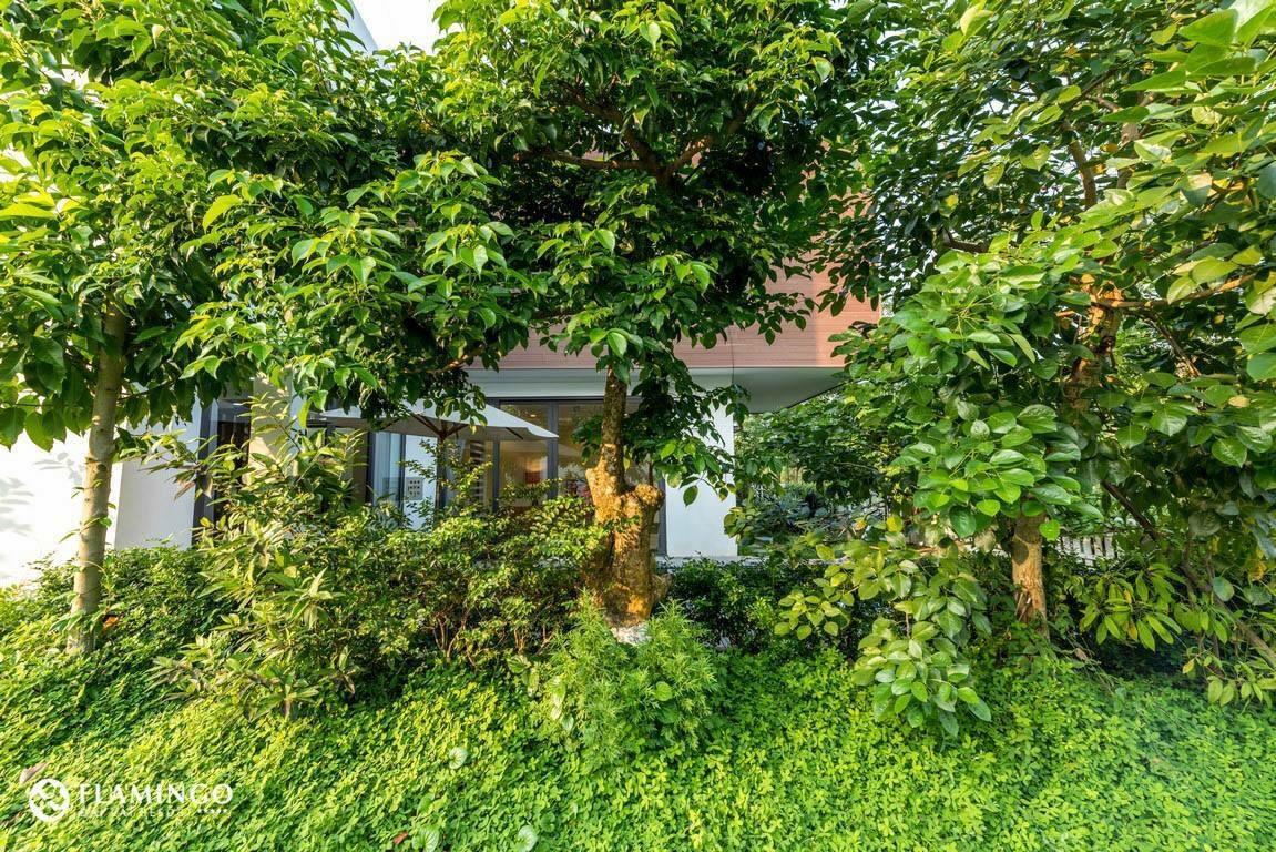 Flamingo Dailai - Hq Villa Ngoc Quang Екстериор снимка
